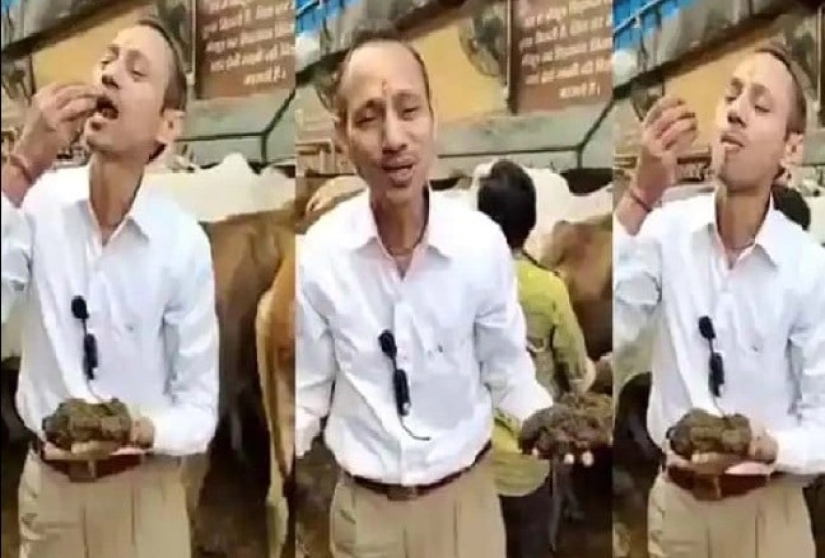 Indian doctor eats cow dung and recommends it to patients Indian doctor eats cow dung and recommends it to patients