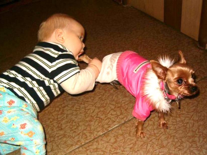 "Innocent" childish pranks. The funniest photo collection ever!