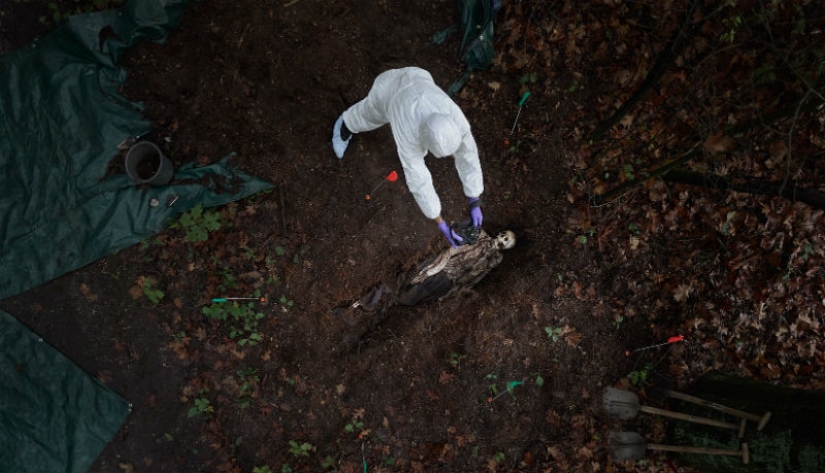 Inside cars that crashed in terrible accidents