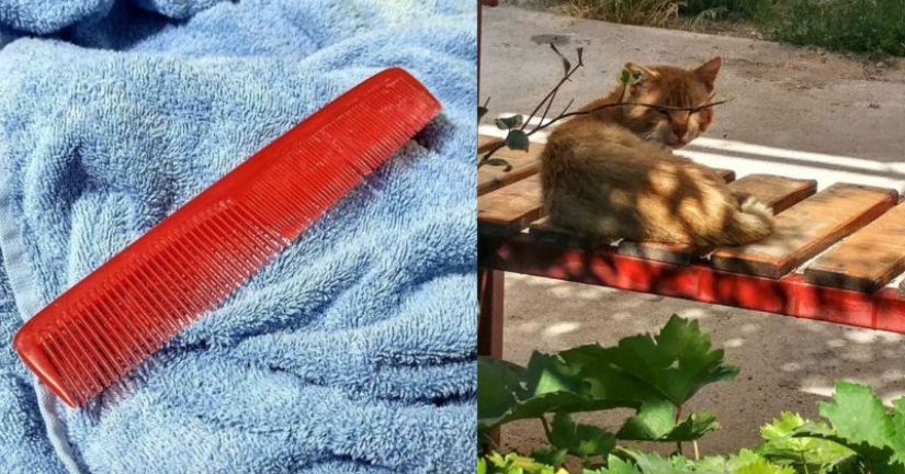 Instagram fue iniciado por una abuela turca, y 90 mil personas están observando su vida simple.