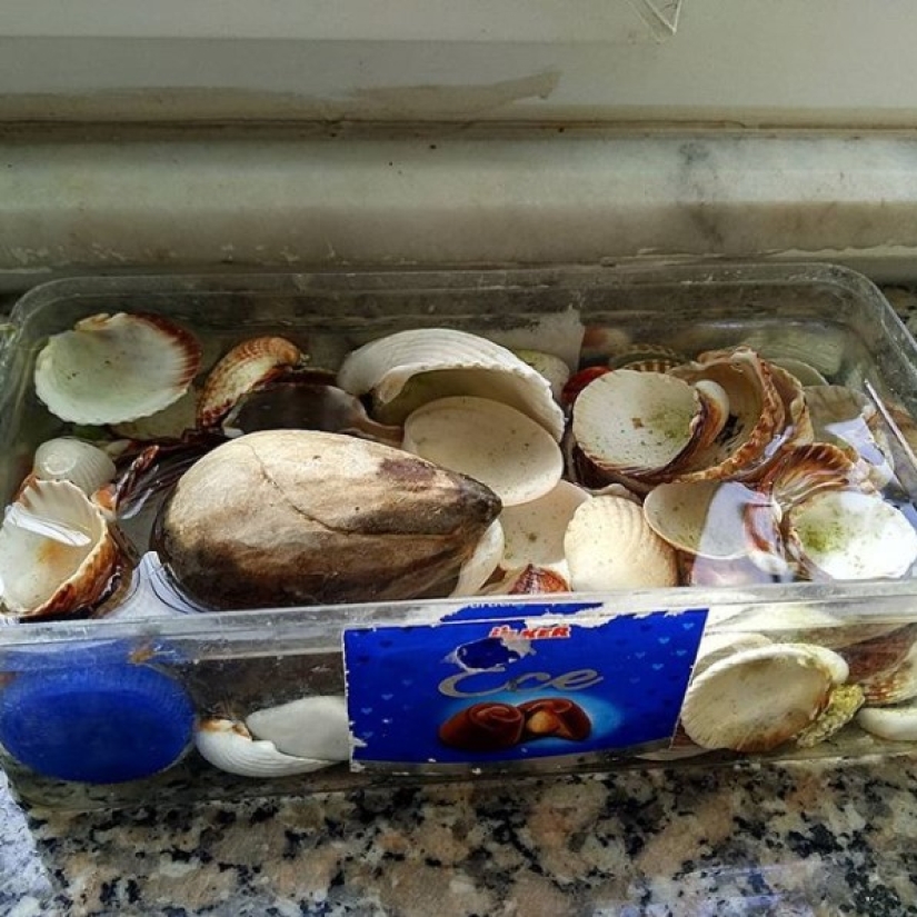 Instagram has been started by a Turkish grandmother, and 90 thousand people are watching her simple life.