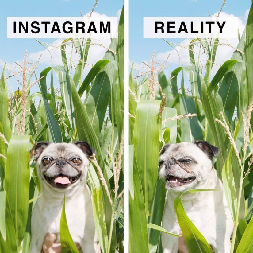 Instagram Vs Reality: funny German ridicules the perfect photo from social networks Instagram Vs Reality: funny German ridicules the perfect photo from social networks