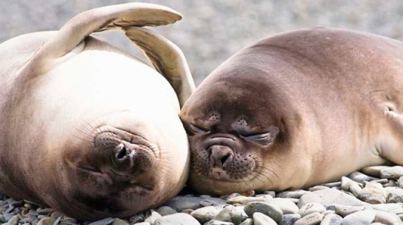 Interesting facts about the real Alice in Wonderland Interesting facts about the real Alice in Wonderland