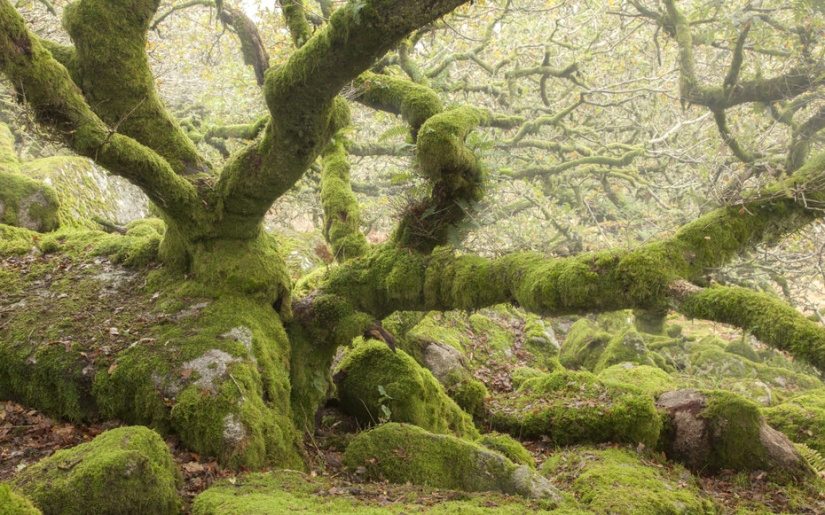 Interesting places in England