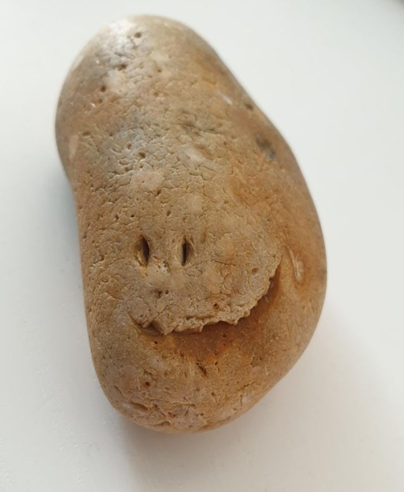 Internautas nos mostraron 15 rostros en los objetos más inesperados Internautas nos mostraron 15 rostros en los objetos más inesperados