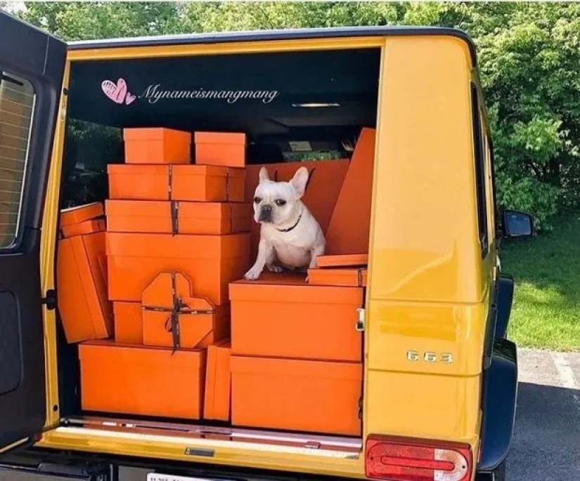 Invierno caluroso: la juventud dorada se jacta de las lujosas vacaciones de Navidad en Instagram