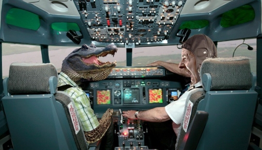 Involuntary terrorist: how a crocodile became the culprit of a passenger plane crash