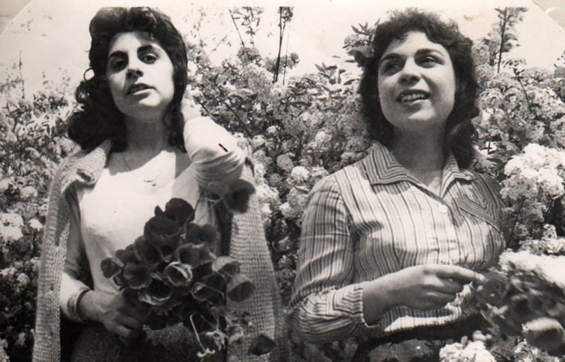 Iran during the Shah's rule