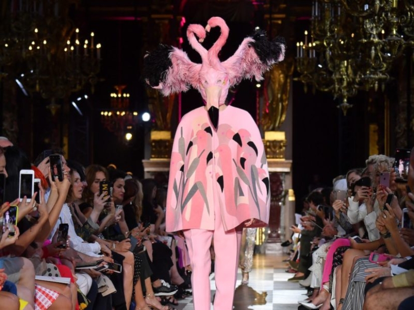 Is it too weak for you to wear such a hat? A pretentious fashion show took place in Paris