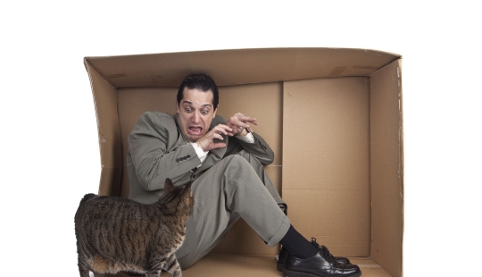 "Juicio por sellos": amigos le dieron a un hombre con ailurofobia la tortura más linda