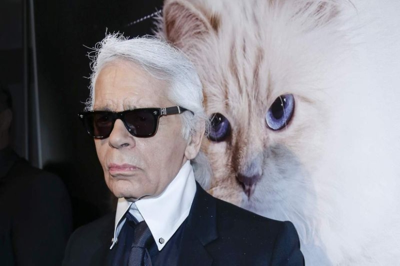 Karl Lagerfeld's cat earned 3 million euros in a year