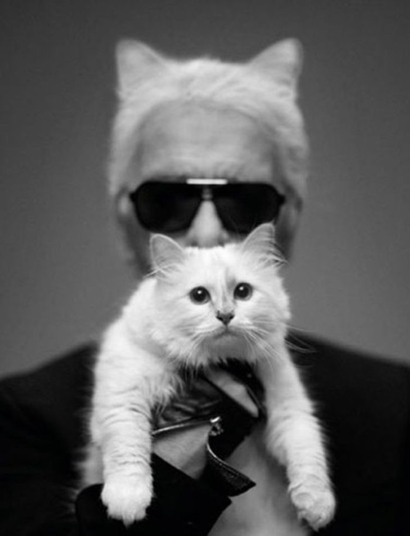 Karl Lagerfeld's cat earned 3 million euros in a year