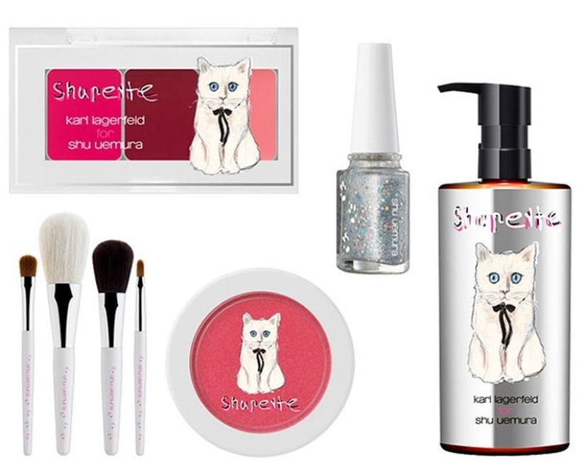 Karl Lagerfeld's cat earned 3 million euros in a year