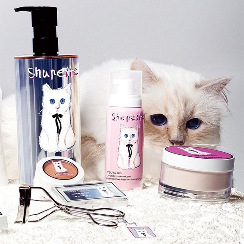 Karl Lagerfeld's cat earned 3 million euros in a year