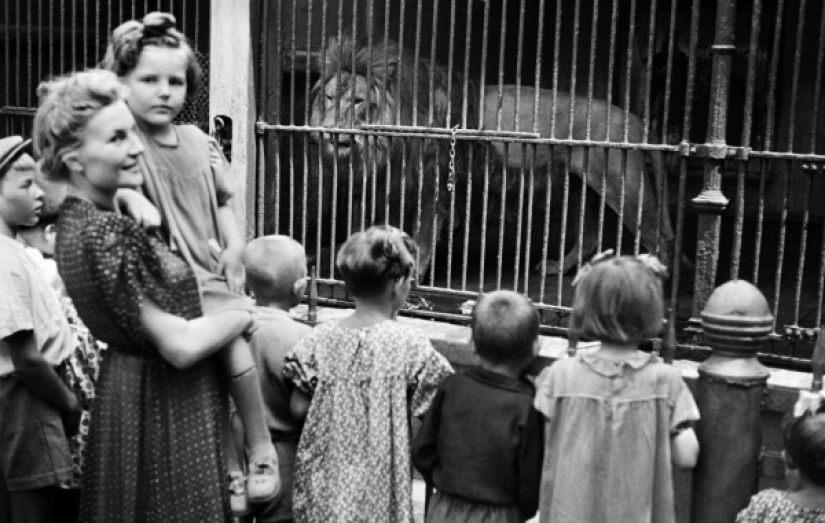 Kids in a cage: 154 years of the Moscow Zoo Kids in a cage: 154 years of the Moscow Zoo