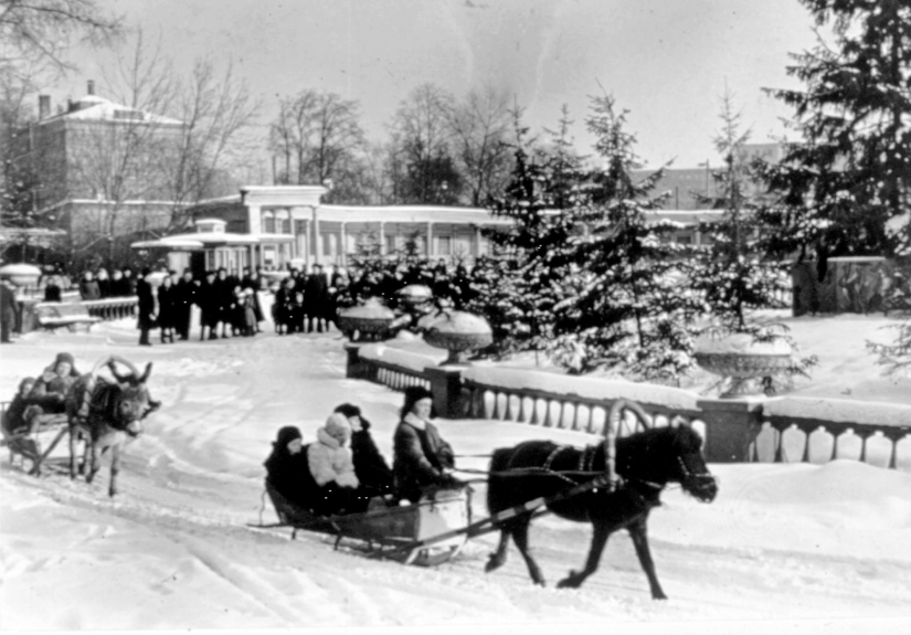 Kids in a cage: 154 years of the Moscow Zoo Kids in a cage: 154 years of the Moscow Zoo