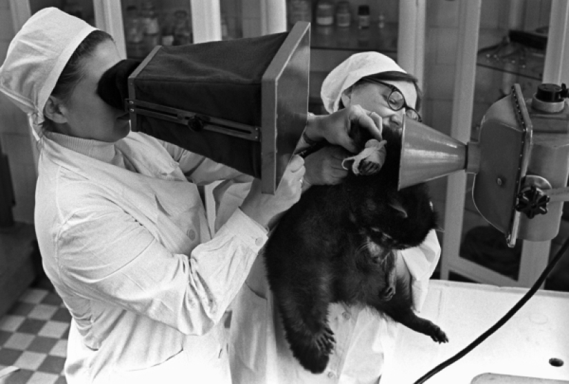 Kids in a cage: 154 years of the Moscow Zoo Kids in a cage: 154 years of the Moscow Zoo