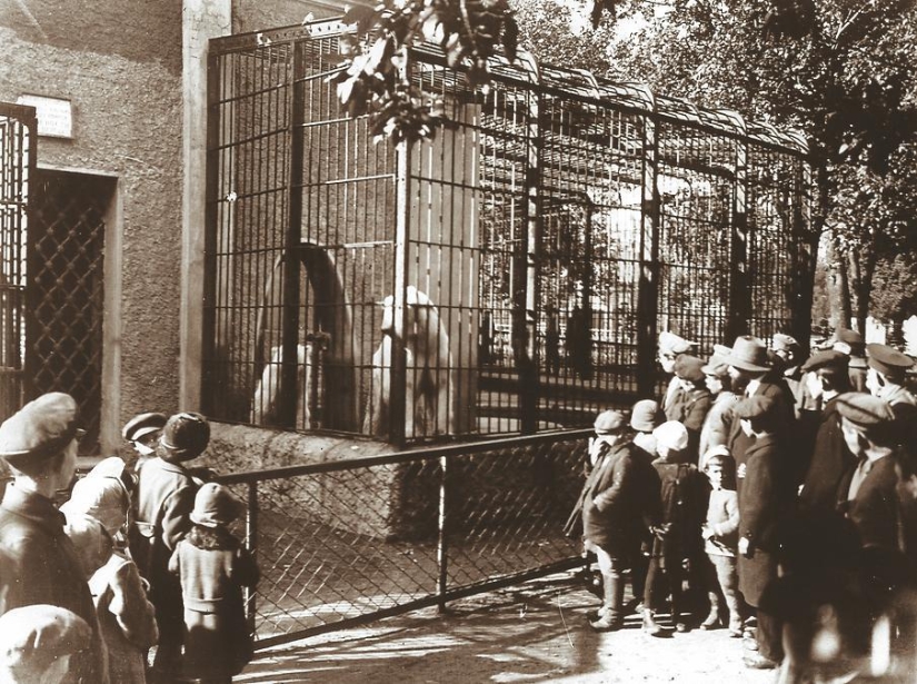 Kids in a cage: 154 years of the Moscow Zoo Kids in a cage: 154 years of the Moscow Zoo