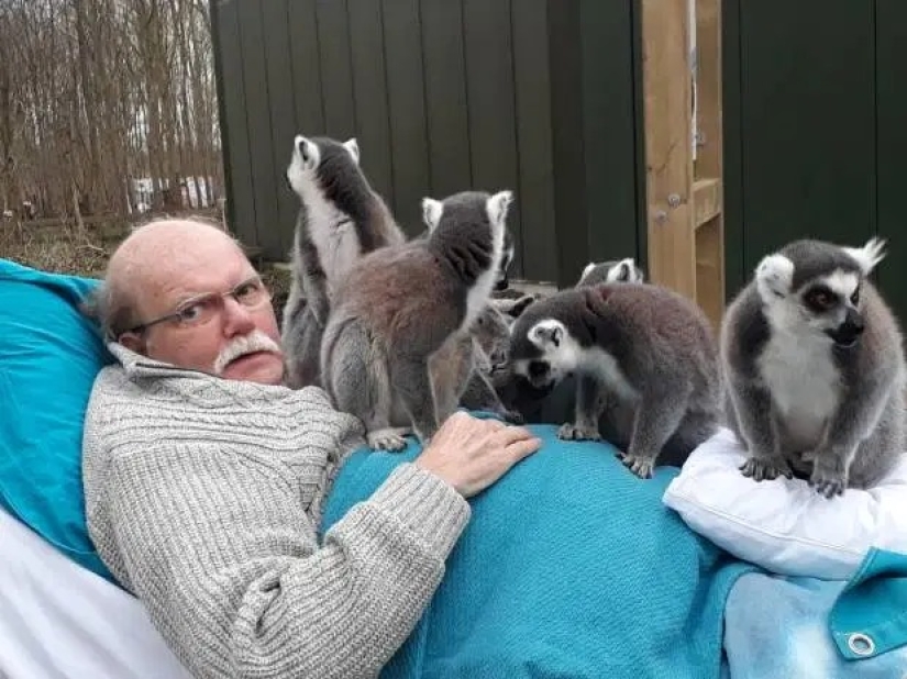 Kind wizards: Dutch volunteers fulfill the last wishes of terminally ill people