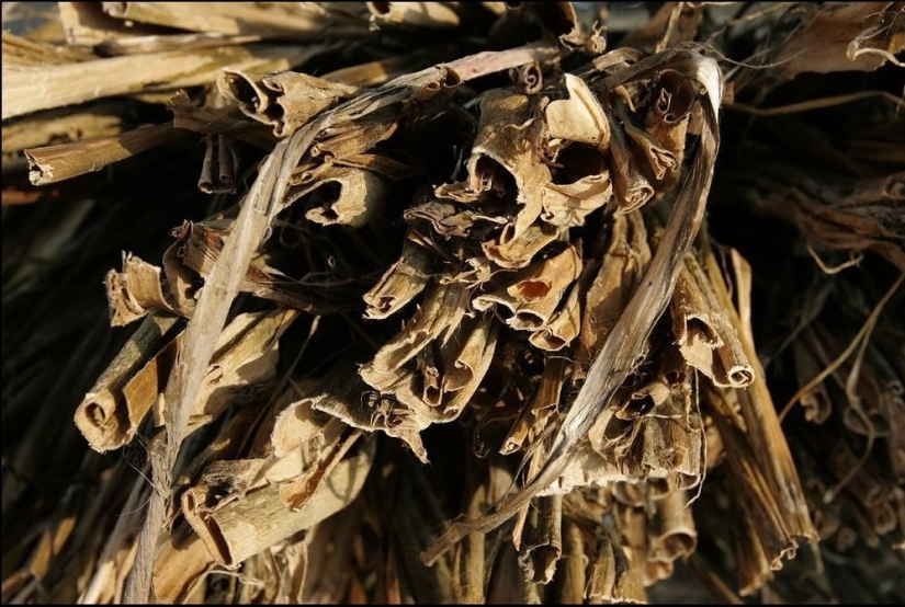 Korean hengzhi paper