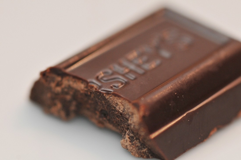 Kote-facts. About what you didn't know about whiskered pets! Kote-facts. About what you didn't know about whiskered pets!