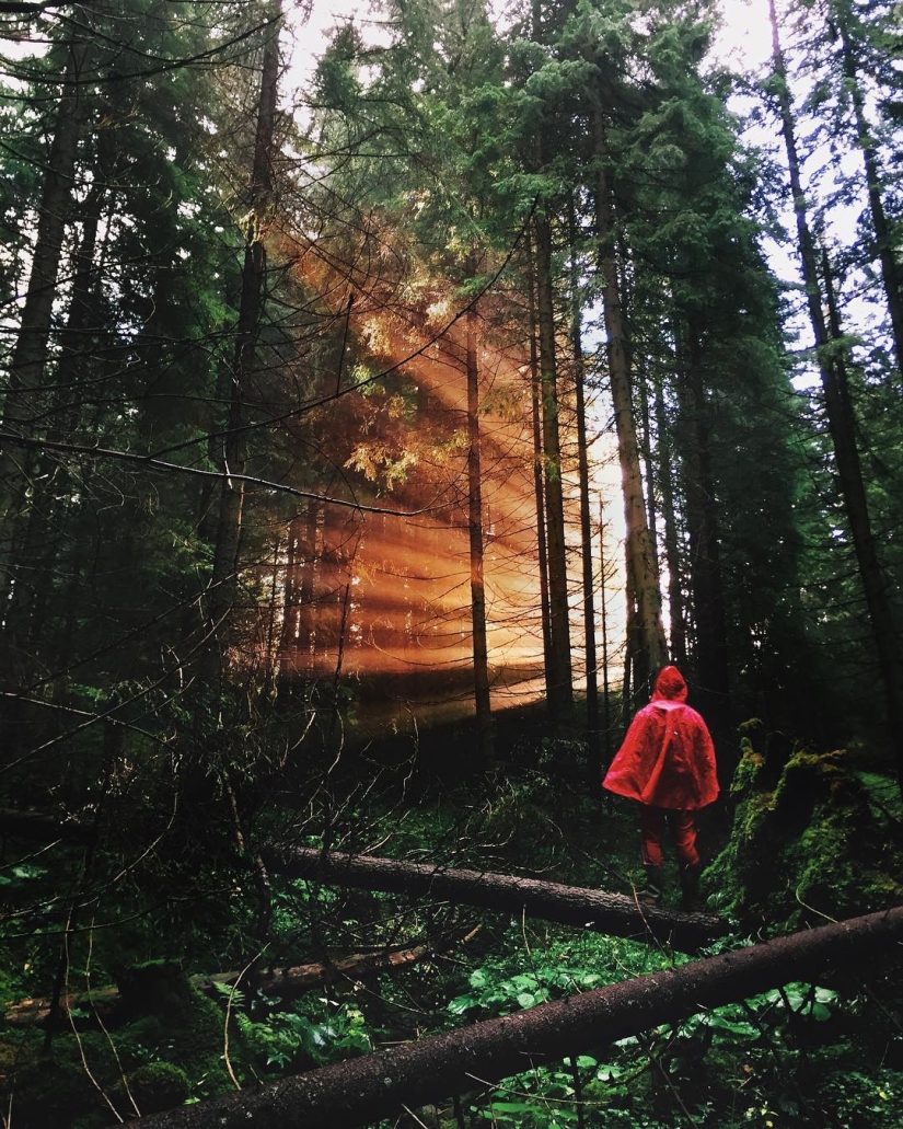 La belleza de los Cárpatos de la altura de vuelo de los pájaros La belleza de los Cárpatos de la altura de vuelo de los pájaros