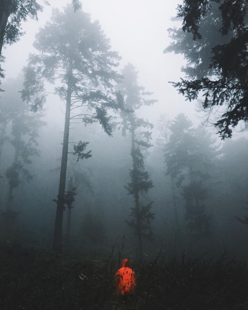 La belleza de los Cárpatos de la altura de vuelo de los pájaros La belleza de los Cárpatos de la altura de vuelo de los pájaros