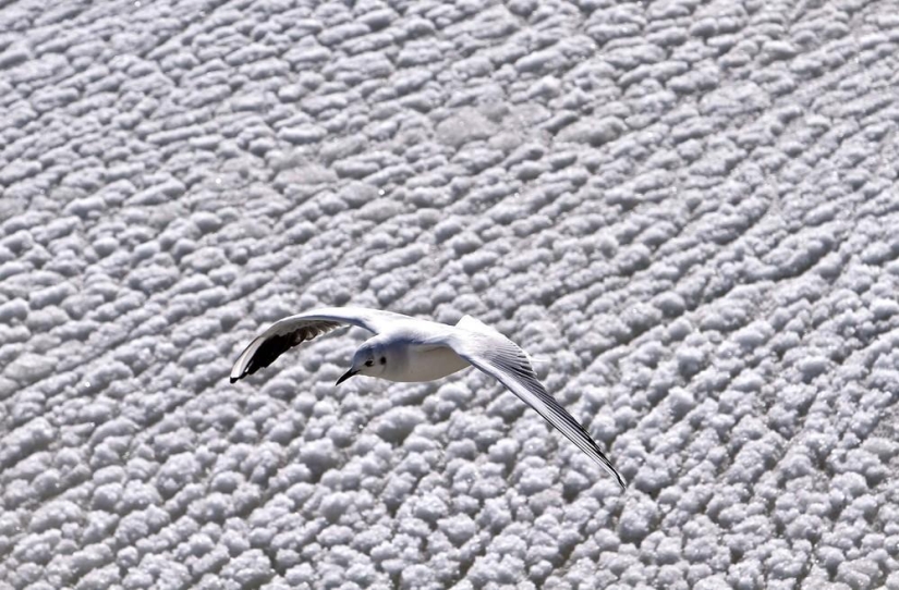 La belleza del invierno