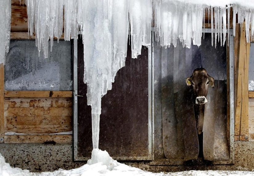 La belleza del invierno