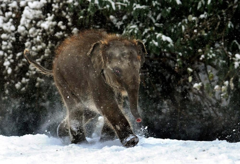 La belleza del invierno