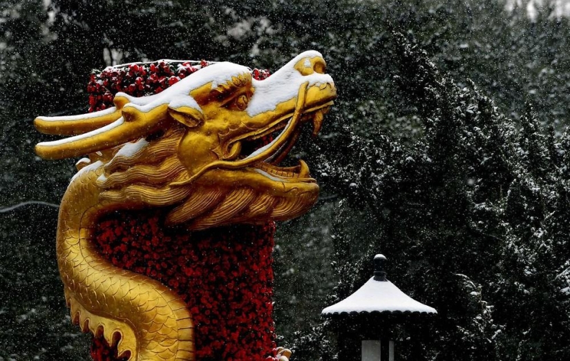 La belleza del invierno