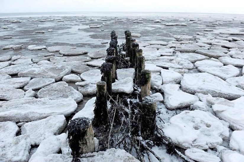 La belleza del invierno