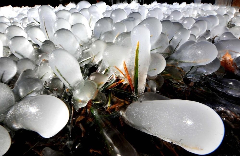 La belleza del invierno