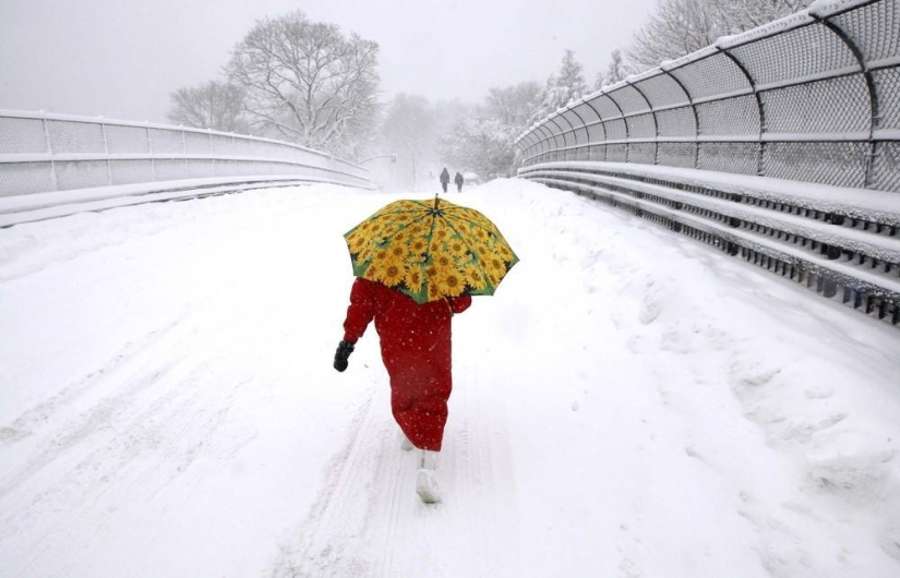 La belleza del invierno