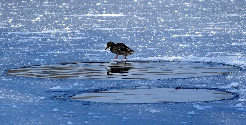 La belleza del invierno