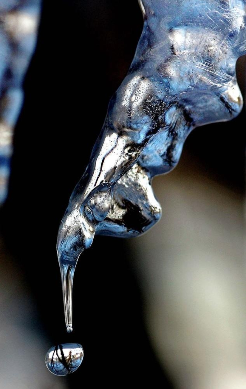 La belleza del invierno