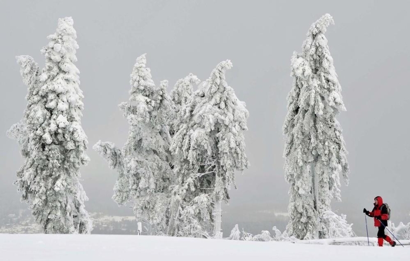 La belleza del invierno