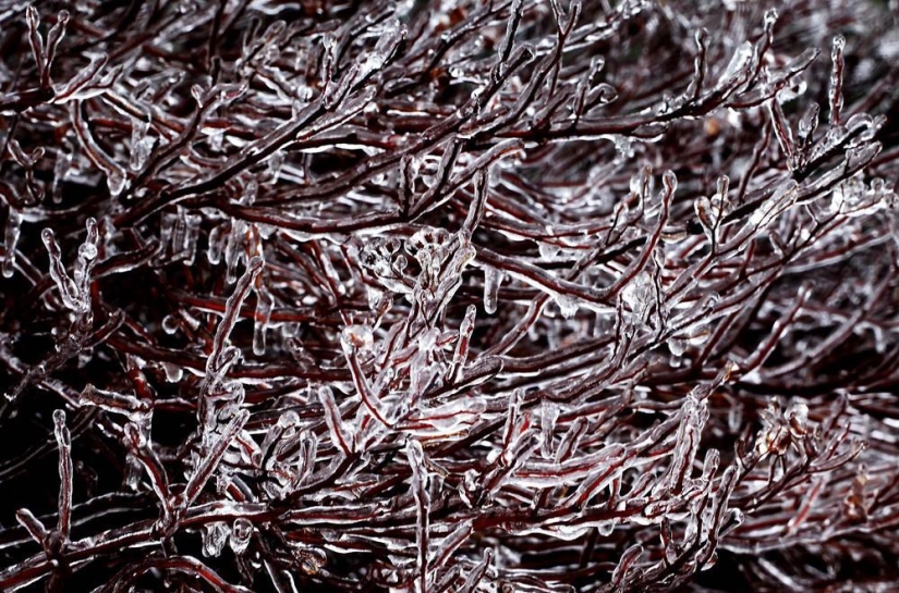 La belleza del invierno