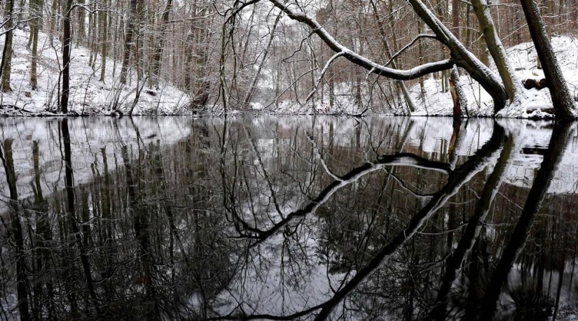 La belleza del invierno