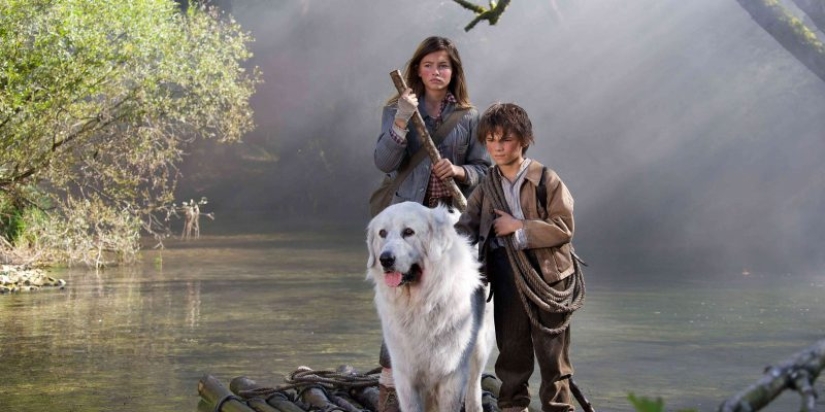 La dueña de la cara femenina más bella de 2018. Sí, esta es la chica La dueña de la cara femenina más bella de 2018. Sí, esta es la chica