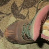 La dulzura del día! Fotos de animales que duermen donde quieren