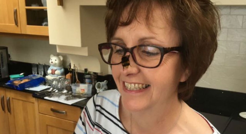 La escocesa no consiguió en casa un gatito, ni un cachorro, sino un abejorro sin alas