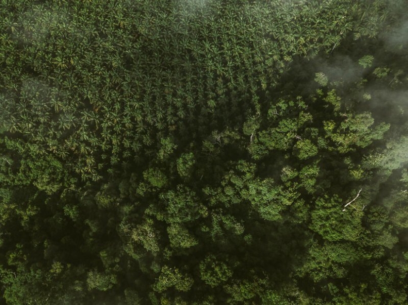 La familia vendió todo y se fue en un viaje en el camión viejo La familia vendió todo y se fue en un viaje en el camión viejo