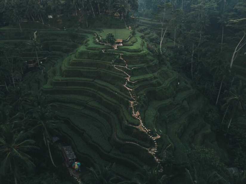 La familia vendió todo y se fue en un viaje en el camión viejo La familia vendió todo y se fue en un viaje en el camión viejo