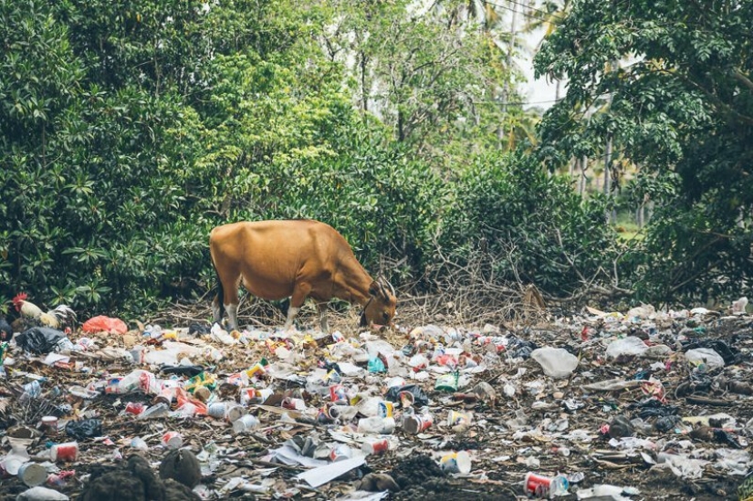 La familia vendió todo y se fue en un viaje en el camión viejo La familia vendió todo y se fue en un viaje en el camión viejo