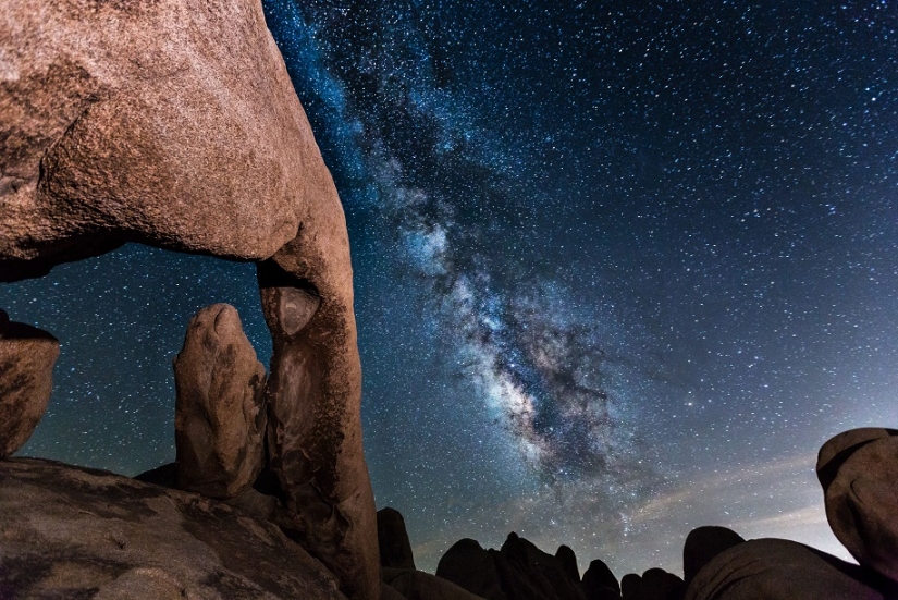 La foca se metió en el encuadre mientras el fotógrafo fotografiaba la Vía Láctea