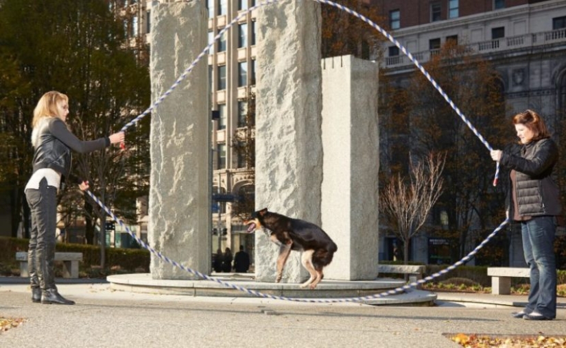La gimnasta más antigua del mundo y un enorme caminante: ¿qué han preparado los autores del Libro Guinness de los Récords 2019 para el público? La gimnasta más antigua del mundo y un enorme caminante: ¿qué han preparado los autores del Libro Guinness de los Récords 2019 para el público?