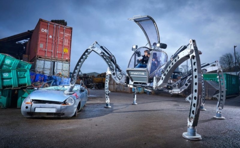 La gimnasta más antigua del mundo y un enorme caminante: ¿qué han preparado los autores del Libro Guinness de los Récords 2019 para el público? La gimnasta más antigua del mundo y un enorme caminante: ¿qué han preparado los autores del Libro Guinness de los Récords 2019 para el público?