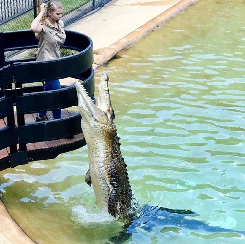 La hija de papá: la hija del legendario Steve Irwin honrará la memoria de su padre en su boda La hija de papá: la hija del legendario Steve Irwin honrará la memoria de su padre en su boda
