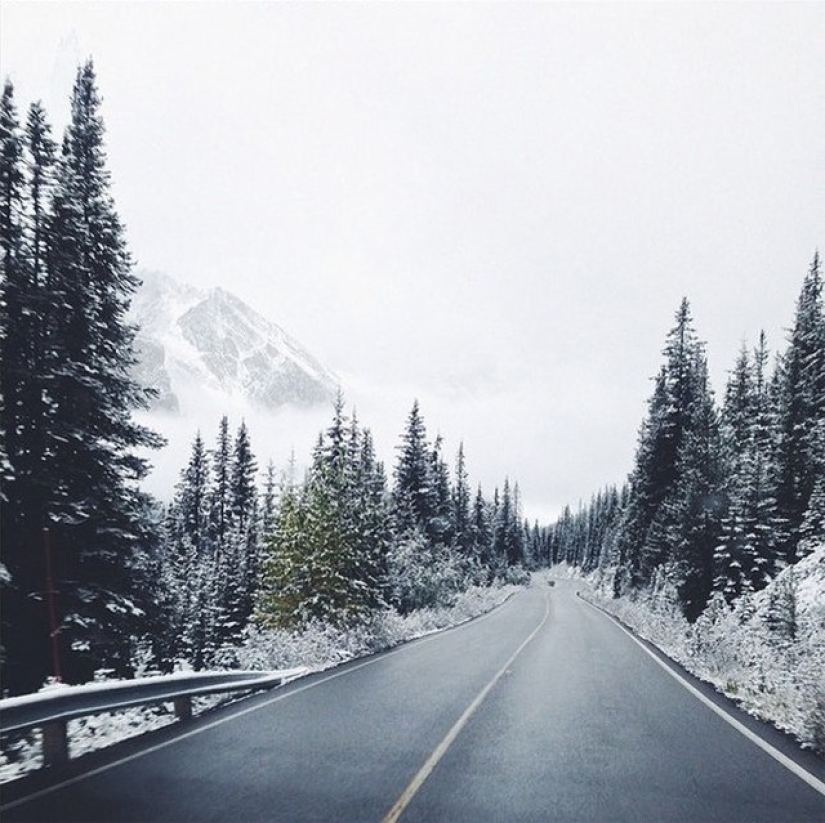 La historia de un ingeniero de TI que lo dejó todo y se convirtió en fotógrafo